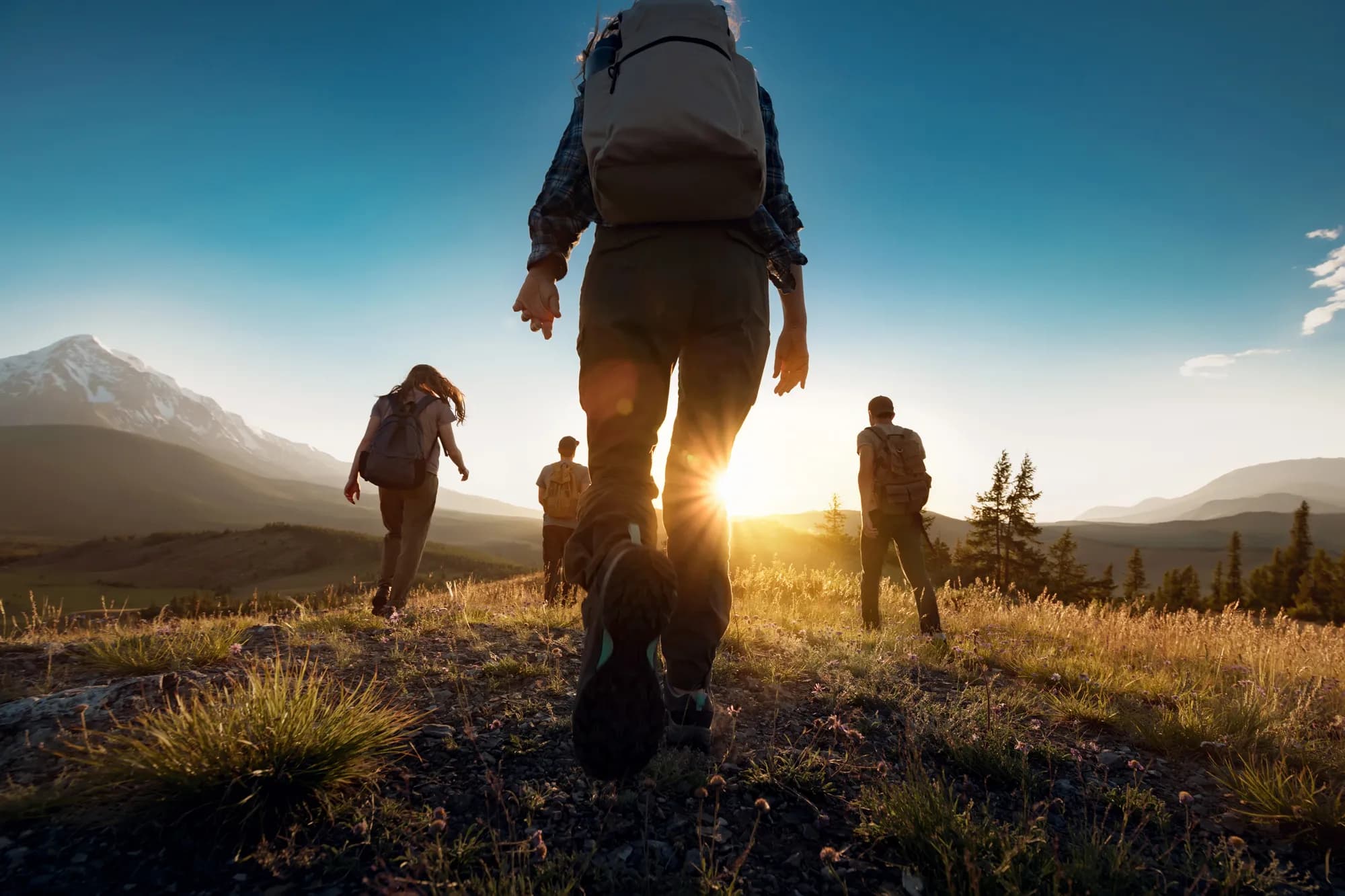 AdobeStock_456320008.jpg