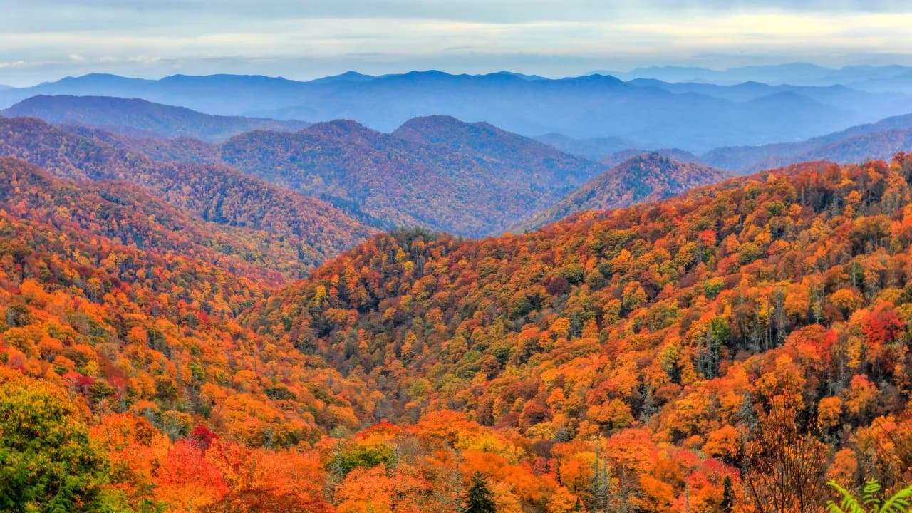 Tennessee Tourism Launches ‘Yeah, It’s Real,’ a Photo Certification Program